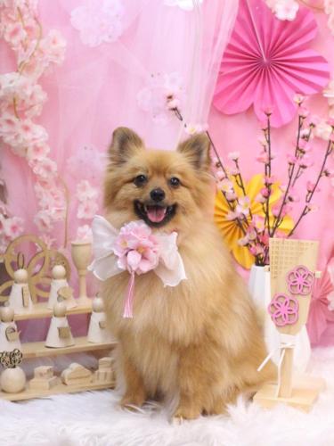 20250316ららちゃん